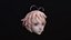 coiffure 06