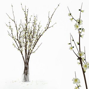 max branches vase