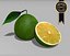 lime 3d model
