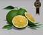 lime 3d model