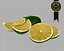 lime 3d model