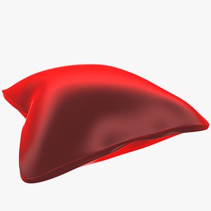 Pillow
