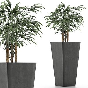 single plant 09 3D model