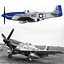 Nordamerikanischer P-51D Mustang - Moonbeam McSwine