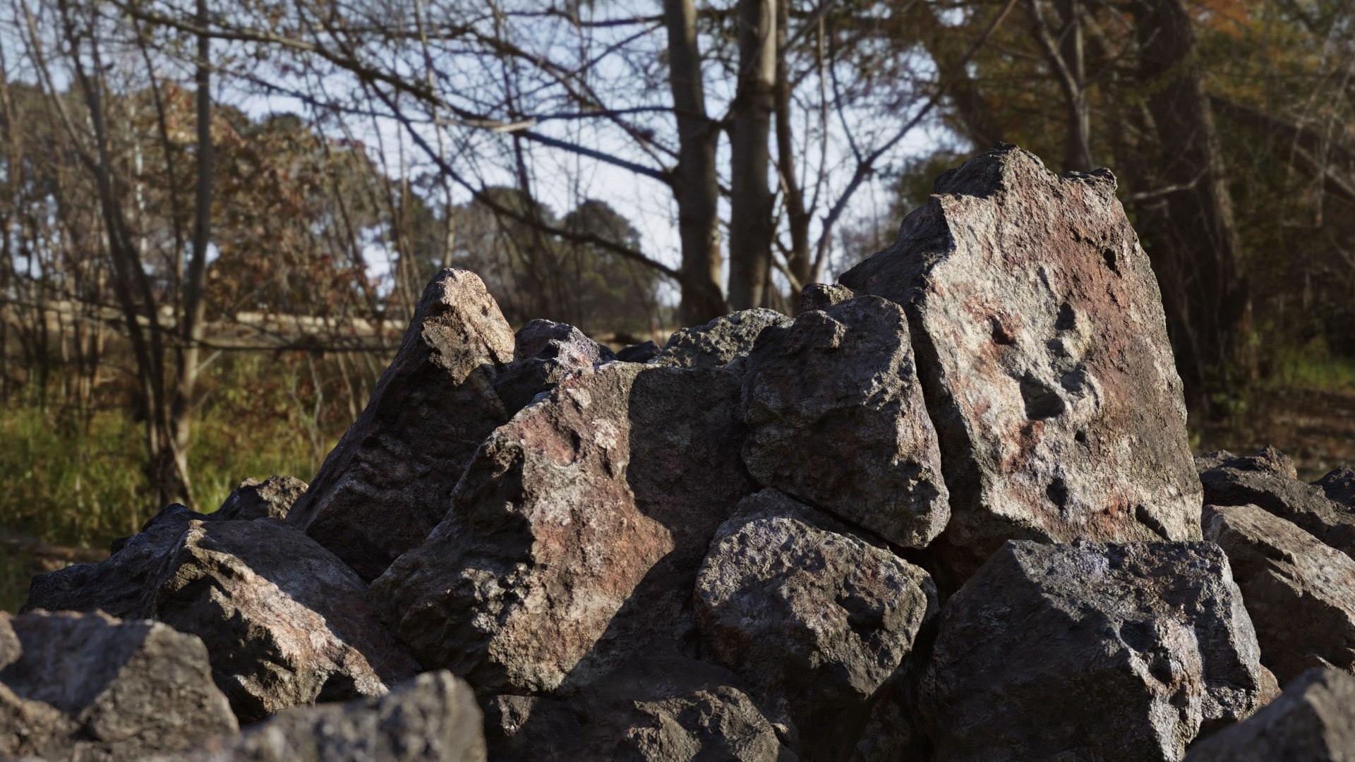 3D model moss 7 species stones https://p.turbosquid.com/ts-thumb/kv/xVGsH7/XhnhGcQ1/moss_scene_a_stones_cc/jpg/1556737485/1920x1080/fit_q87/16afdeef15bab04402aaa65802a858b5d5af0e61/moss_scene_a_stones_cc.jpg
