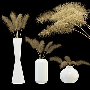 Bouquet of dried flowers