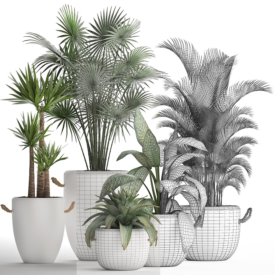 plants exotic 3D https://p.turbosquid.com/ts-thumb/kw/TjAAjG/ERcTw5NP/plantset2101202007/jpg/1579693969/1920x1080/fit_q87/a0fe3a263f69a16fa66655328f21671ab808157c/plantset2101202007.jpg