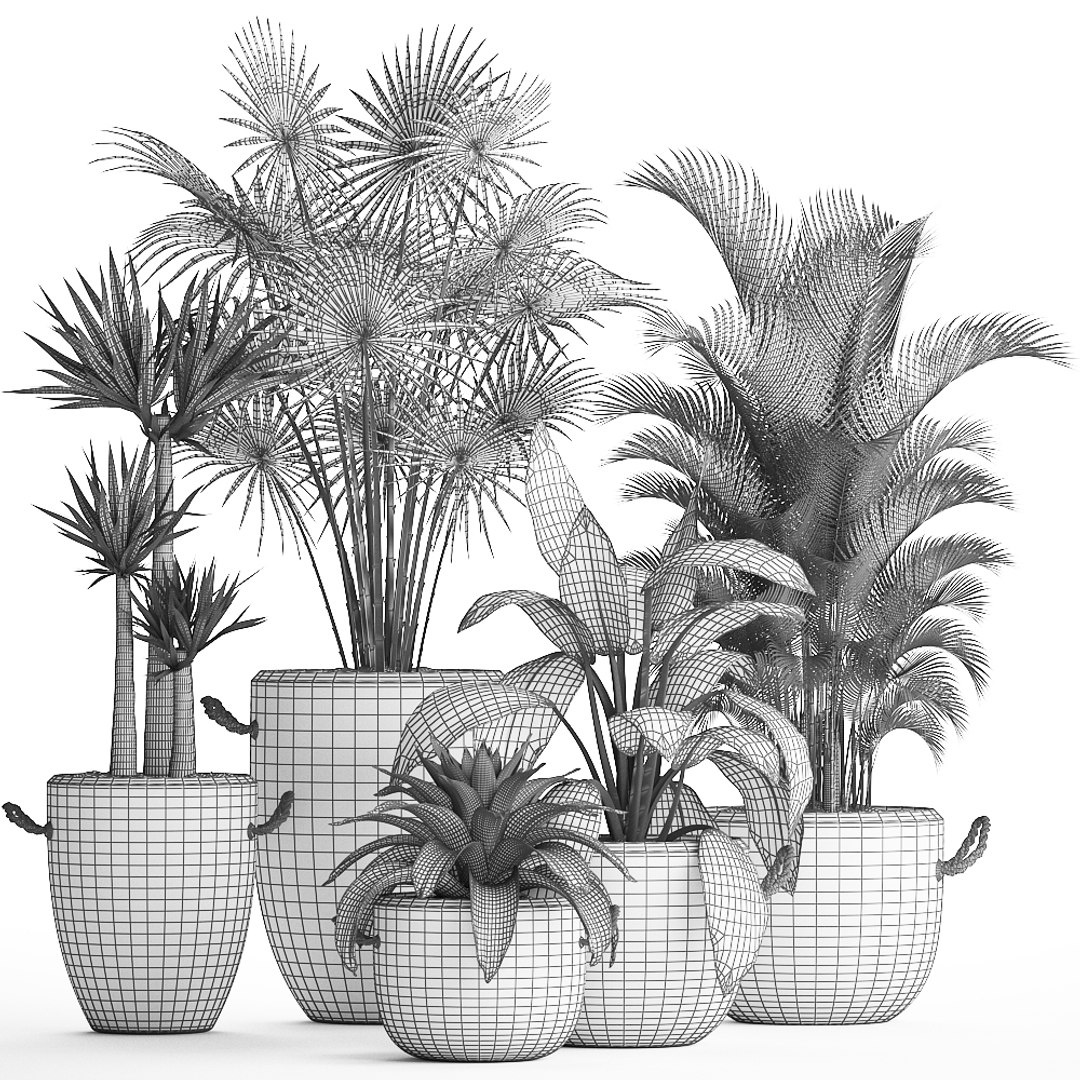 plants exotic 3D https://p.turbosquid.com/ts-thumb/kw/TjAAjG/W9GvZFRt/plantset2101202009/jpg/1579693969/1920x1080/fit_q87/8a5dfecd0d9b179b0ae0ab68e3f44a5c5dfe71e7/plantset2101202009.jpg