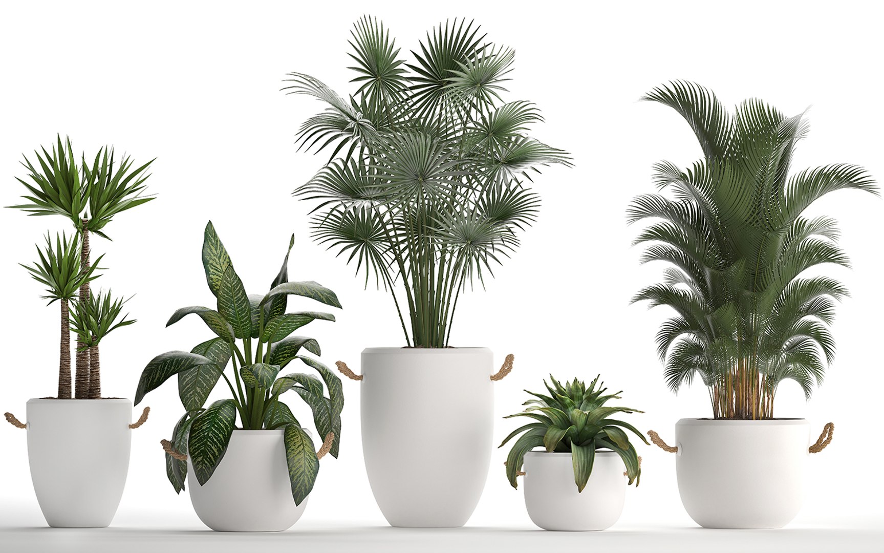 plants exotic 3D https://p.turbosquid.com/ts-thumb/kw/TjAAjG/fK9NkXDr/plantset2101202005/jpg/1579693969/1920x1080/fit_q87/11725bb6fdd2b1aed6c5852478dc9a30546f98b9/plantset2101202005.jpg