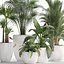 Collection of Exotic Plants 436