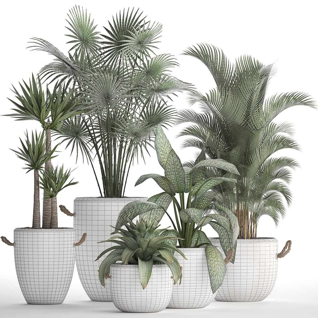 plants exotic 3D https://p.turbosquid.com/ts-thumb/kw/TjAAjG/wCyj4My4/plantset2101202008/jpg/1579693969/1920x1080/fit_q87/bf475008eed30ad3cca5e053326d14a1c7e3090b/plantset2101202008.jpg