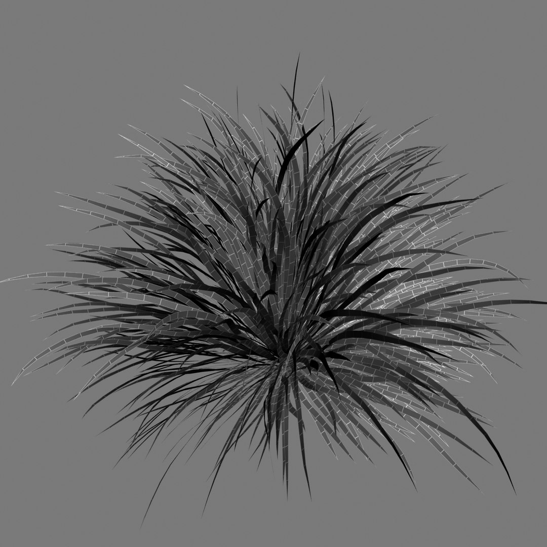 cherry sparkler fountain grass 3D https://p.turbosquid.com/ts-thumb/kw/anEXnz/DdO5aNRJ/grid/jpg/1514961945/1920x1080/fit_q87/604df8a2e37041c83b287b5e1bfa71180d6b81b2/grid.jpg