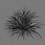 Cherry sparkler fountain grass