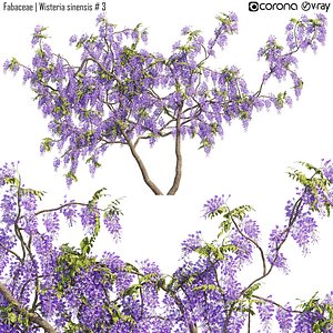 Jess Glynne - Wisteria 03