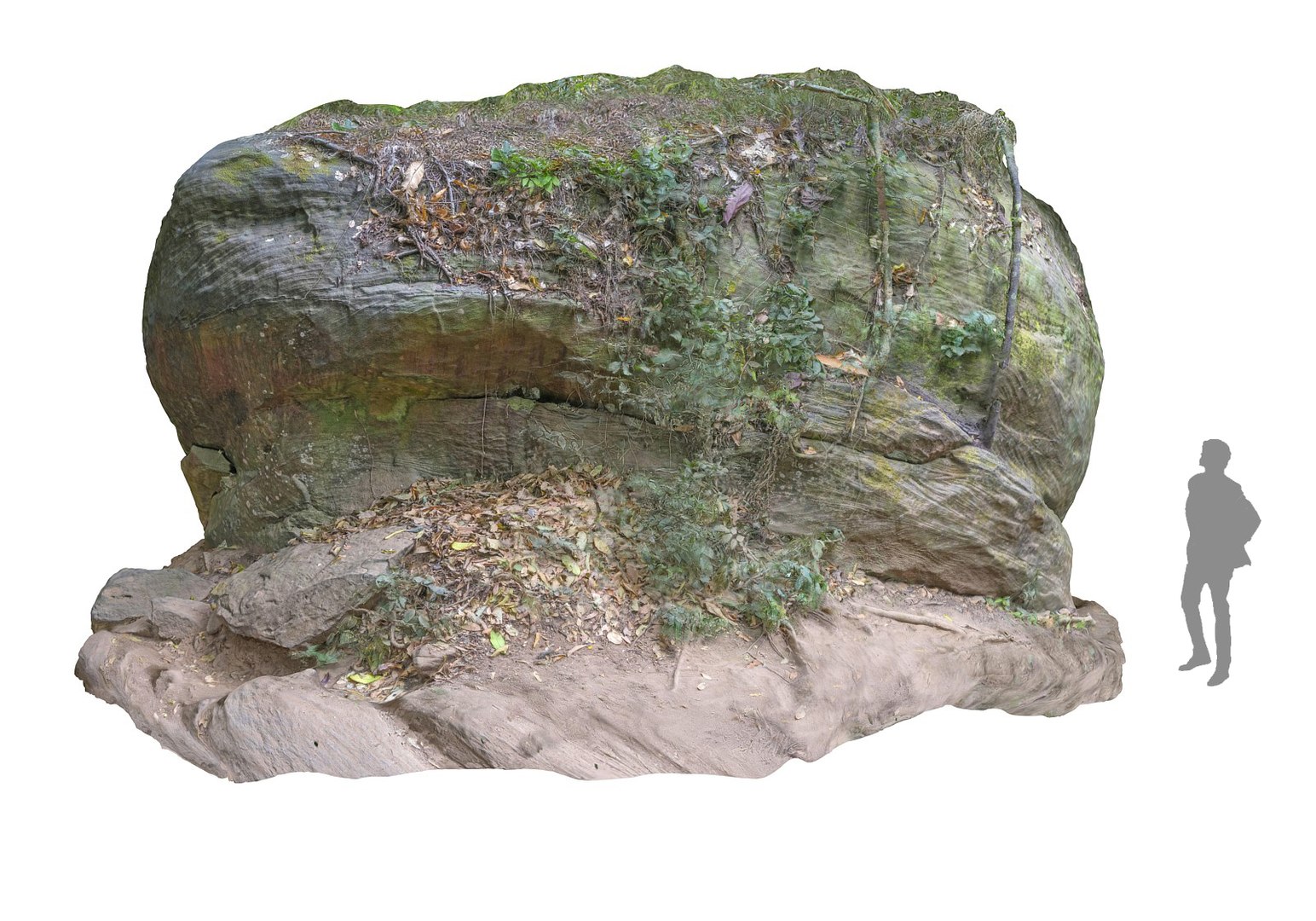 jungle rock 16k 3d obj https://p.turbosquid.com/ts-thumb/kw/jotjdJ/PmWZszYF/8989/jpg/1461880503/1920x1080/fit_q87/82639f748843607e3af66aeb5eb9f739c99a7fb1/8989.jpg