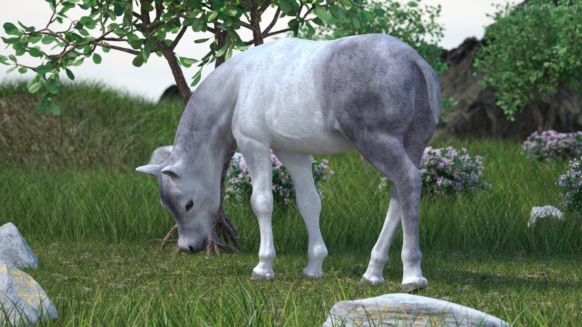 3D Shetland Pony White Rigged for Cinema 4D https://p.turbosquid.com/ts-thumb/kw/ob5By8/26/shetlandponywhiteriggedforcinema4d3dmodel007/jpg/1720672214/1920x1080/fit_q87/a79f8af8afdfd3e501ecfd12cda6e35c23dd7e6d/shetlandponywhiteriggedforcinema4d3dmodel007.jpg
