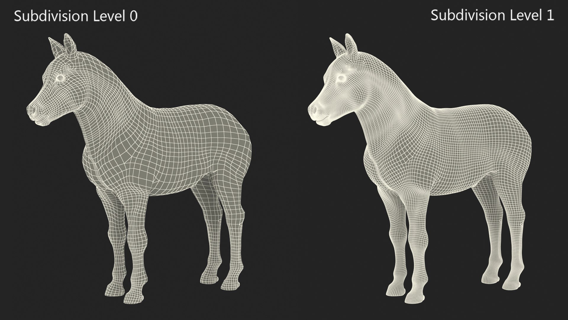 3D Shetland Pony White Rigged for Cinema 4D https://p.turbosquid.com/ts-thumb/kw/ob5By8/8l/shetlandponywhiteriggedforcinema4d3dmodel033/jpg/1720672316/1920x1080/fit_q87/7d123b82e68c123c72b2b50af59b99c2722a260e/shetlandponywhiteriggedforcinema4d3dmodel033.jpg