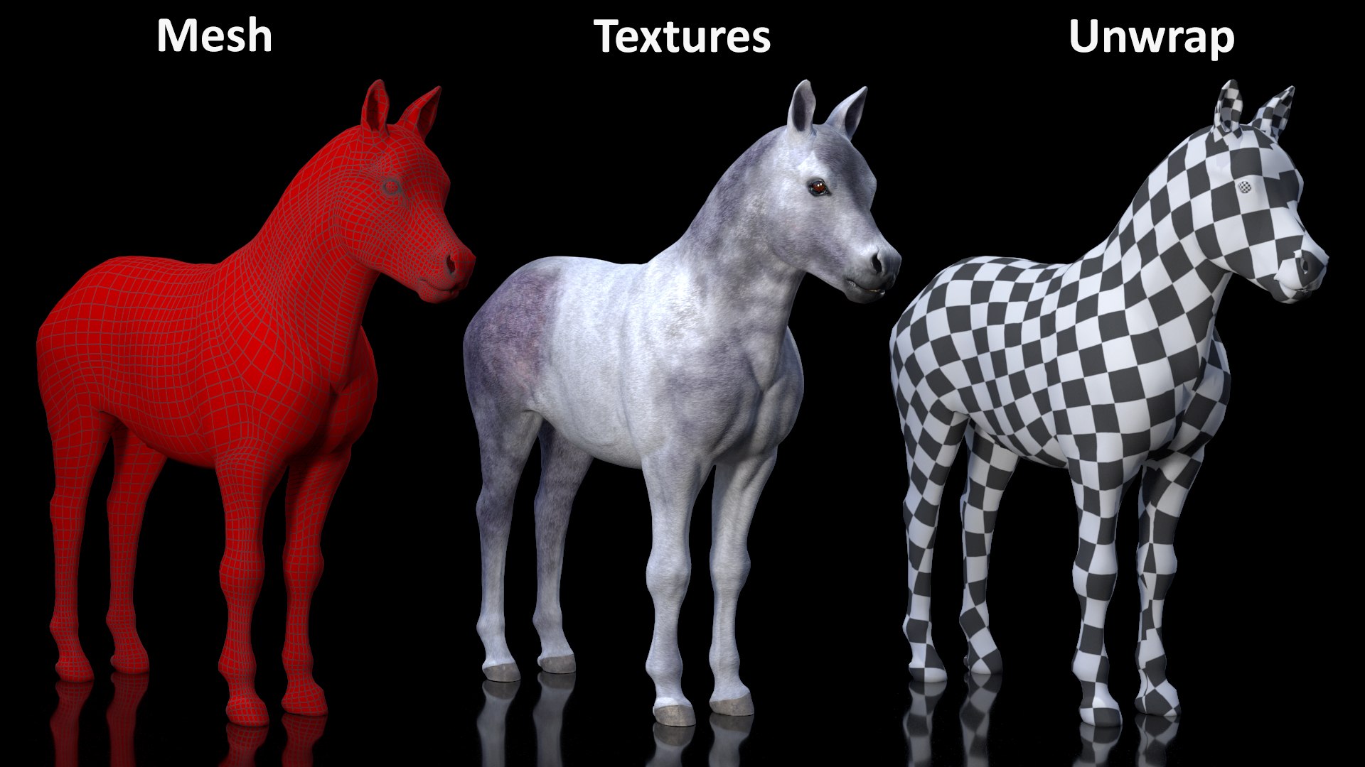 3D Shetland Pony White Rigged for Cinema 4D https://p.turbosquid.com/ts-thumb/kw/ob5By8/SF/shetlandponywhiteriggedforcinema4d3dmodel031/jpg/1720672309/1920x1080/fit_q87/adcd0bb74d20aa3ec5c28c01290507c815d02a8b/shetlandponywhiteriggedforcinema4d3dmodel031.jpg