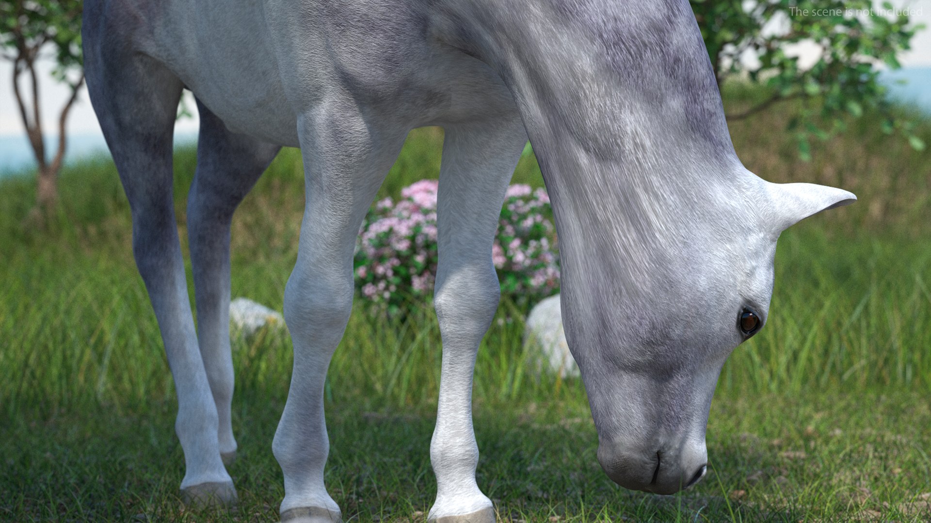 3D Shetland Pony White Rigged for Cinema 4D https://p.turbosquid.com/ts-thumb/kw/ob5By8/dO/shetlandponywhiteriggedforcinema4d3dmodel011/jpg/1720672233/1920x1080/fit_q87/e3a196b71baac89abff3f5557ad6c10e9bfe6962/shetlandponywhiteriggedforcinema4d3dmodel011.jpg