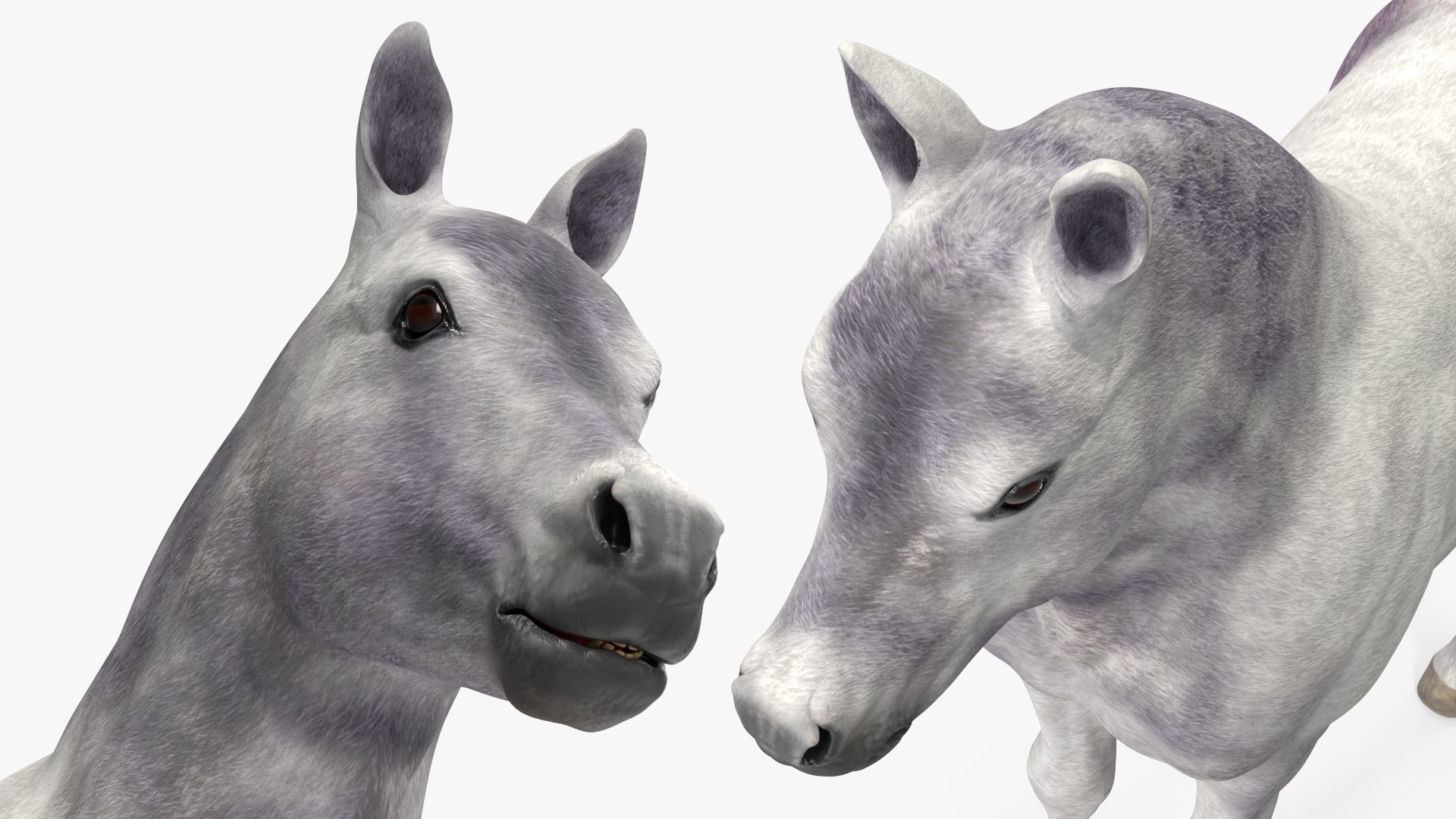 3D Shetland Pony White Rigged for Cinema 4D https://p.turbosquid.com/ts-thumb/kw/ob5By8/dP/shetlandponywhiteriggedforcinema4d3dmodel028/jpg/1720672298/1920x1080/fit_q87/d6aeec2b5dd79dd696e13c4b4243fad88d2f8688/shetlandponywhiteriggedforcinema4d3dmodel028.jpg