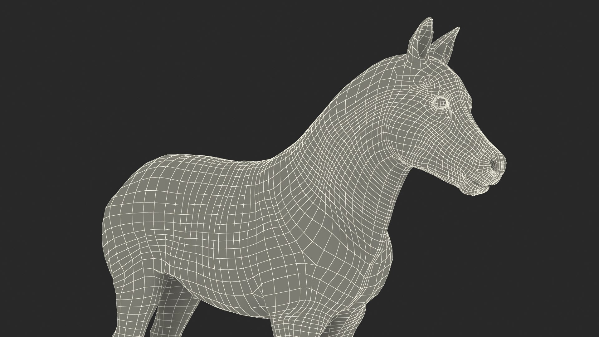 3D Shetland Pony White Rigged for Cinema 4D https://p.turbosquid.com/ts-thumb/kw/ob5By8/dk/shetlandponywhiteriggedforcinema4d3dmodel040/jpg/1720672341/1920x1080/fit_q87/6250fa5f8263cb149cbed5c0d3316726698da16c/shetlandponywhiteriggedforcinema4d3dmodel040.jpg