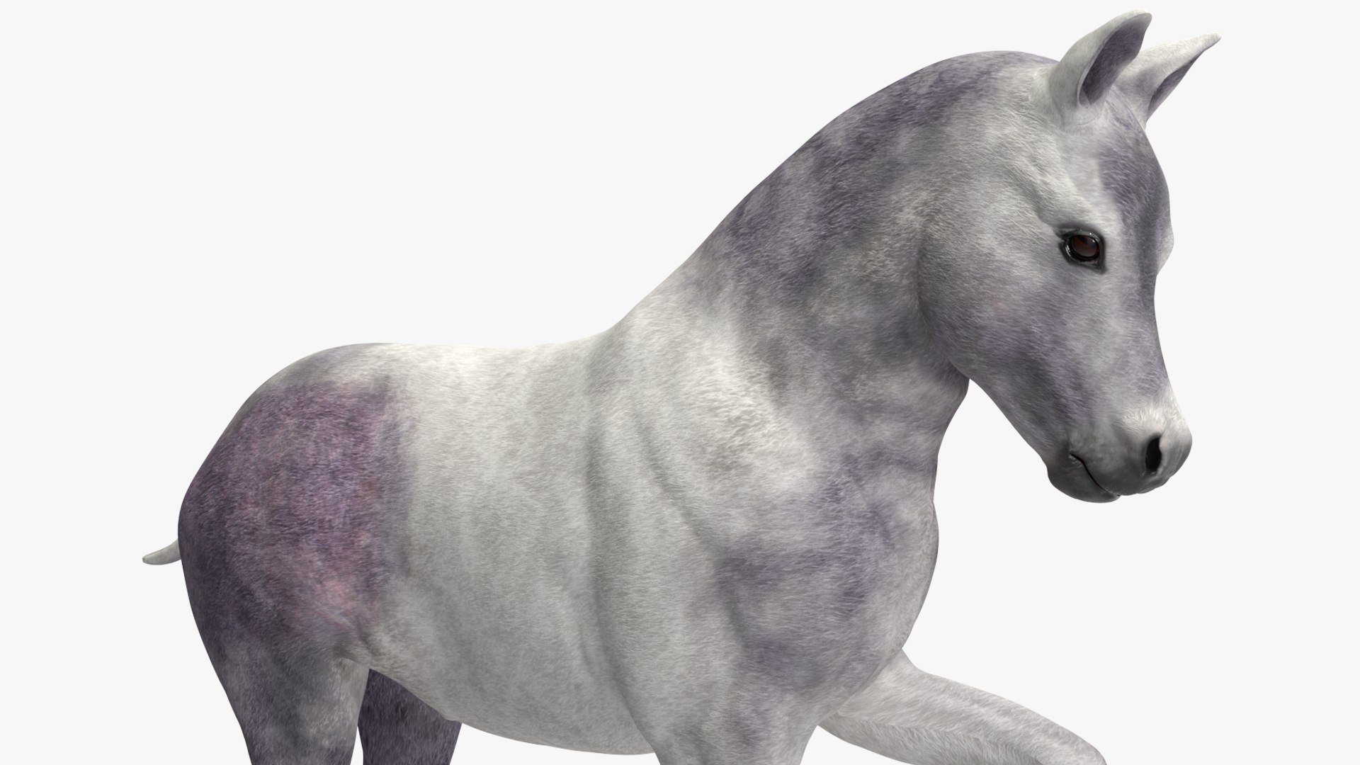 3D Shetland Pony White Rigged for Cinema 4D https://p.turbosquid.com/ts-thumb/kw/ob5By8/gj/shetlandponywhiteriggedforcinema4d3dmodel022/jpg/1720672270/1920x1080/fit_q87/fa948eab48143e22af56be6157533a09ec6eb857/shetlandponywhiteriggedforcinema4d3dmodel022.jpg