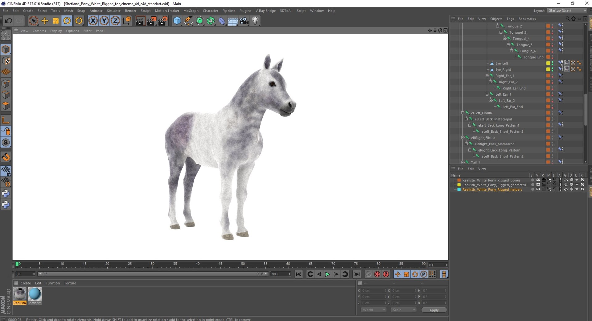 3D Shetland Pony White Rigged for Cinema 4D https://p.turbosquid.com/ts-thumb/kw/ob5By8/jb/shetlandponywhiteriggedforcinema4d3dmodel044/jpg/1720672355/1920x1080/fit_q87/54ee596abce3acc39979bc8b5e8c4d1e3d8dac1d/shetlandponywhiteriggedforcinema4d3dmodel044.jpg