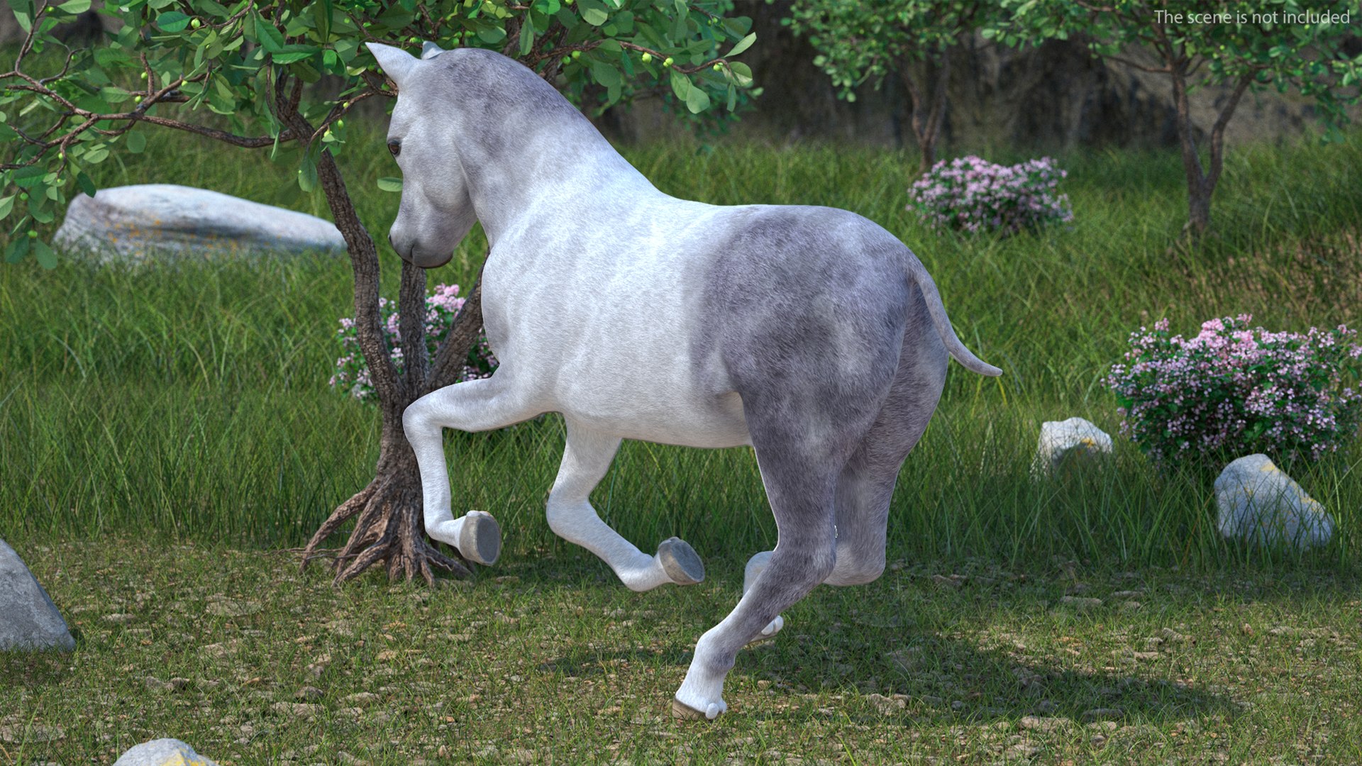 3D Shetland Pony White Rigged for Cinema 4D https://p.turbosquid.com/ts-thumb/kw/ob5By8/kf/shetlandponywhiteriggedforcinema4d3dmodel008/jpg/1720672219/1920x1080/fit_q87/40205c6aa3d380adabaf10d3933255386bbc5f87/shetlandponywhiteriggedforcinema4d3dmodel008.jpg