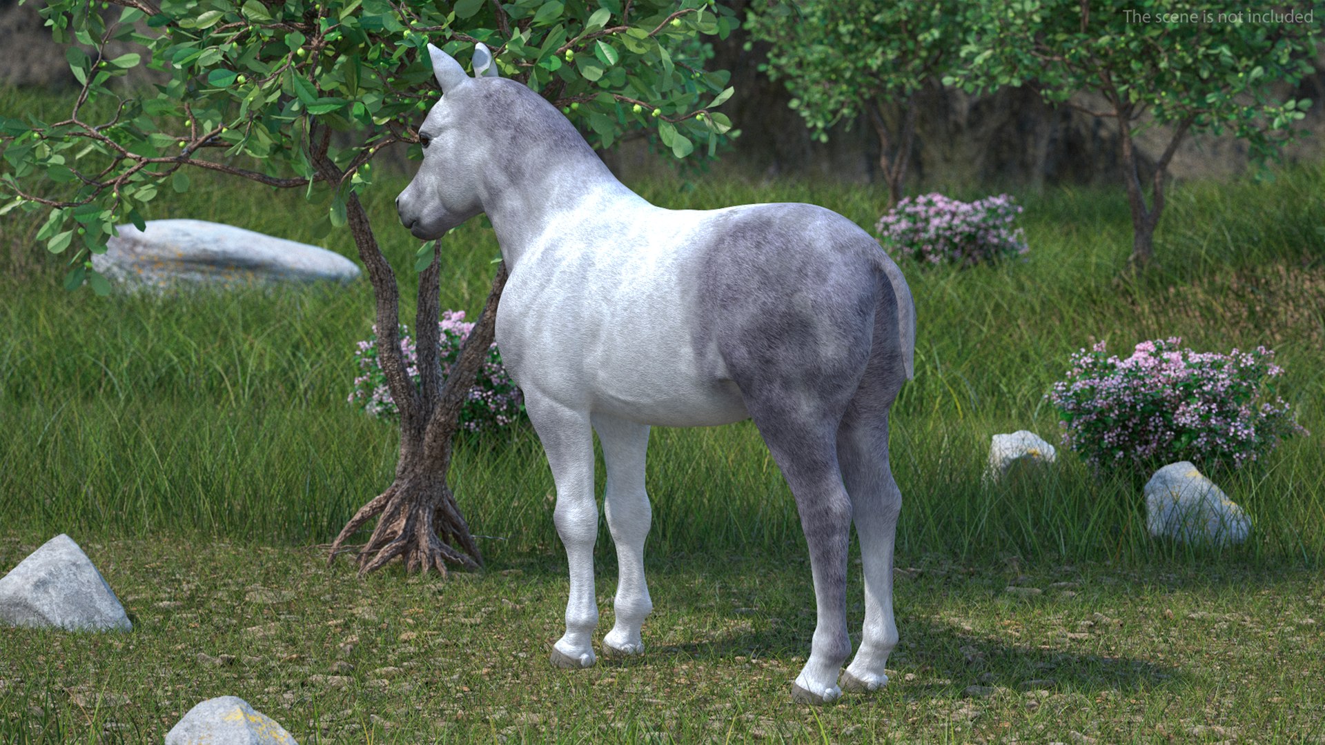 3D Shetland Pony White Rigged for Cinema 4D https://p.turbosquid.com/ts-thumb/kw/ob5By8/rp/shetlandponywhiteriggedforcinema4d3dmodel006/jpg/1720672209/1920x1080/fit_q87/5d6f8c4179e6f44a60381eda5a592e0c85ed7999/shetlandponywhiteriggedforcinema4d3dmodel006.jpg