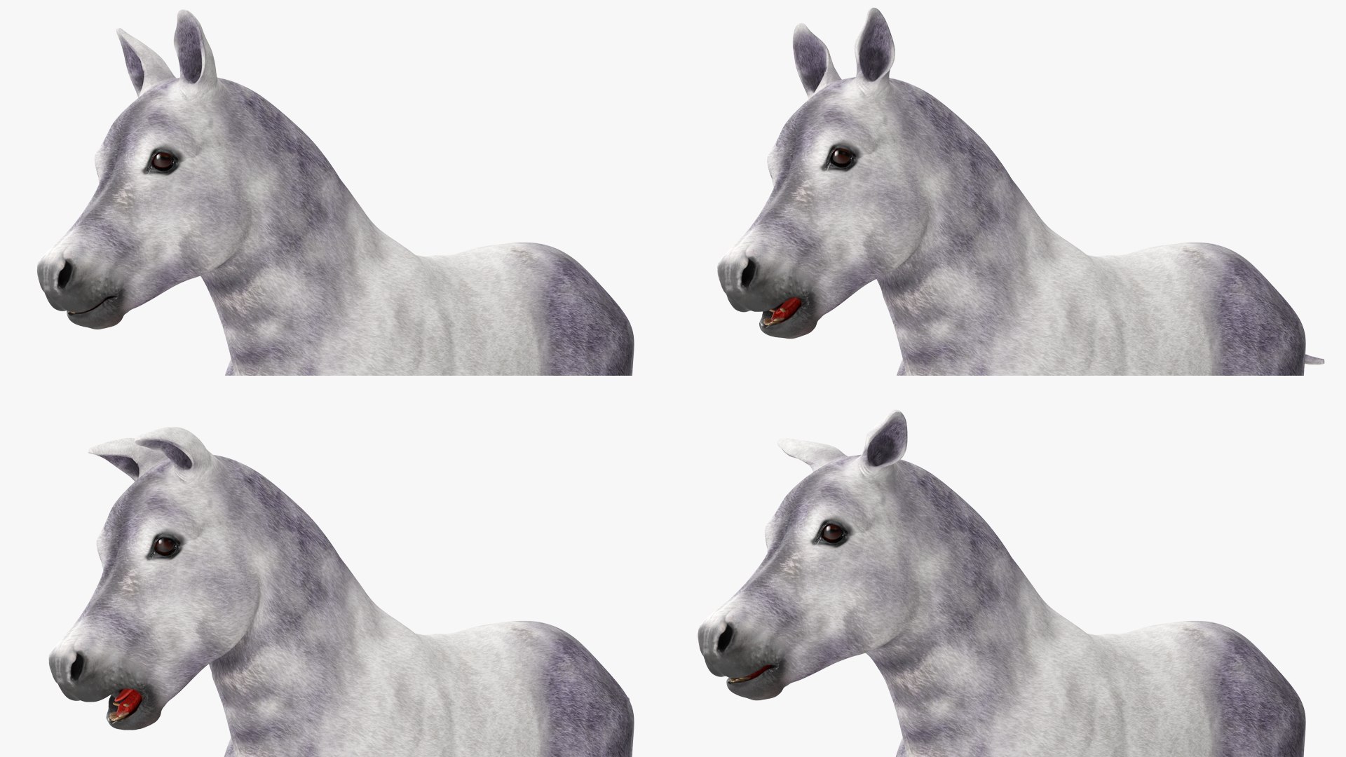 3D Shetland Pony White Rigged for Cinema 4D https://p.turbosquid.com/ts-thumb/kw/ob5By8/uj/shetlandponywhiteriggedforcinema4d3dmodel025/jpg/1720672282/1920x1080/fit_q87/0988d38557cf53a4c0cc9edf0ac1702a82a4c683/shetlandponywhiteriggedforcinema4d3dmodel025.jpg