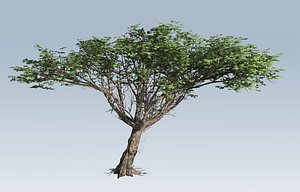 branches leaves 3D model