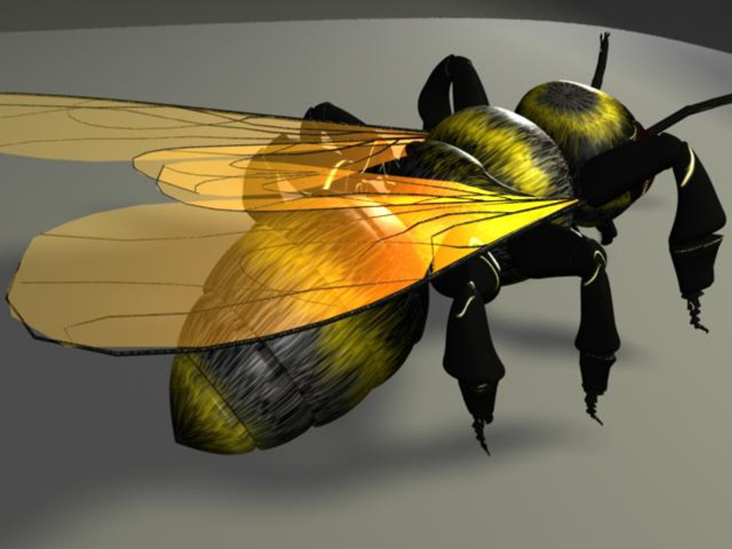 Bee Bumble Ma
