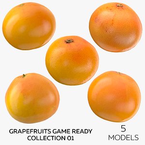 Grapefruits Game Ready Collection 01 - 5 models 3D