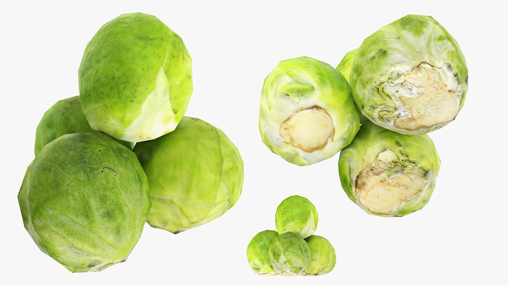 3D 3D Photogrammetry Food Bundle 06 https://p.turbosquid.com/ts-thumb/kx/AdQU0g/EK/brusselssprout/jpg/1747656357/1920x1080/fit_q87/1ed177e74acbc122cacb910365beece75d522964/brusselssprout.jpg