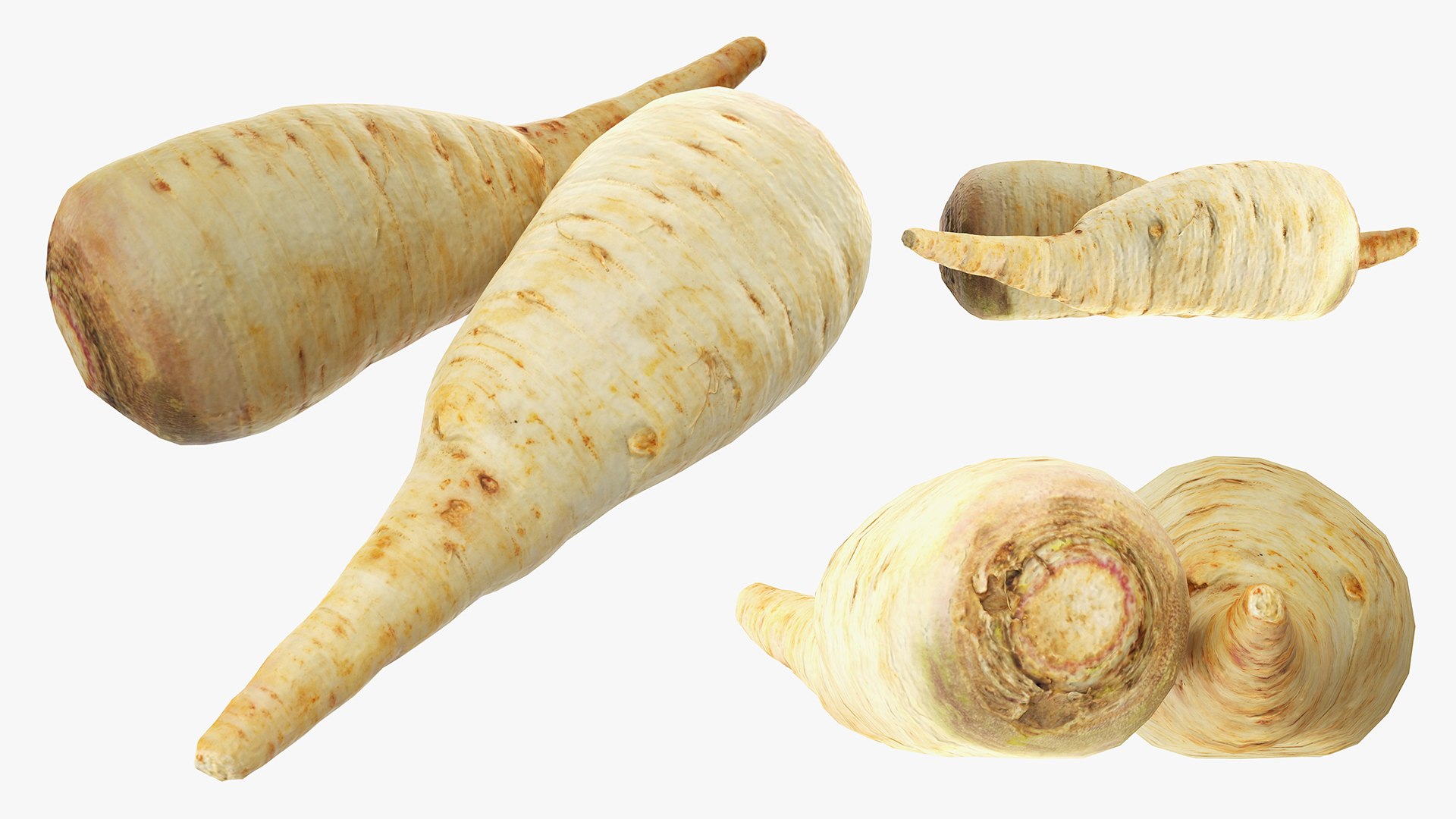 3D 3D Photogrammetry Food Bundle 06 https://p.turbosquid.com/ts-thumb/kx/AdQU0g/Xf/parsnip/jpg/1747656362/1920x1080/fit_q87/4141d434b96529f1133d5e9fa6a41264ce967d74/parsnip.jpg
