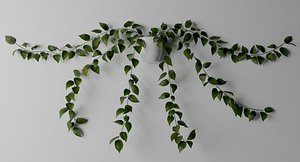 golden pothos plant 3D