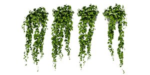 Collection plant vol 454 - blender 3D model