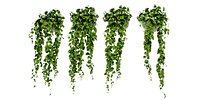 Collection plant vol 454 - blender