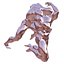 Male  nude statue set one