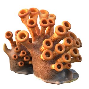 3D model Coral reef 02
