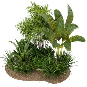 Collection plant vol 288 - indoor - leaf - banana - blender - cinema 4d - 3dmax 3D