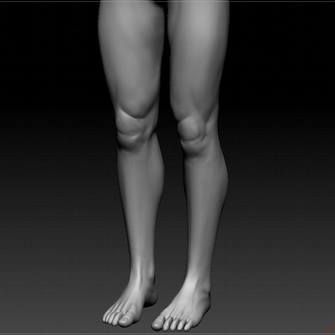 C4d Male Body