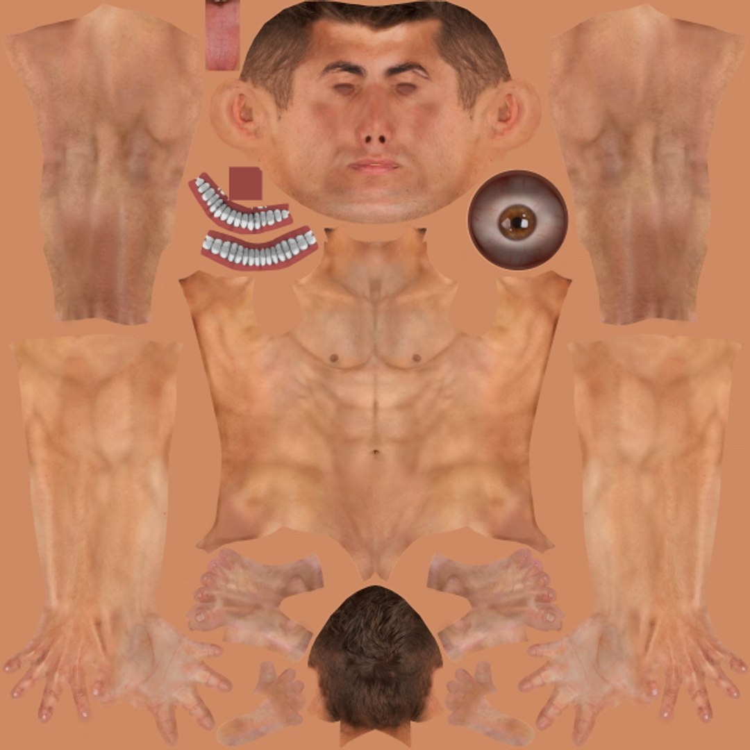 C4d Male Body