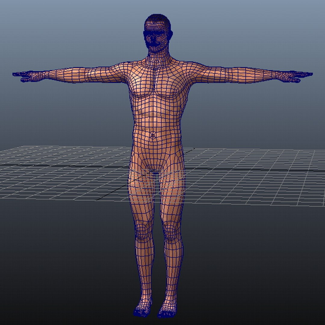 C4d Male Body