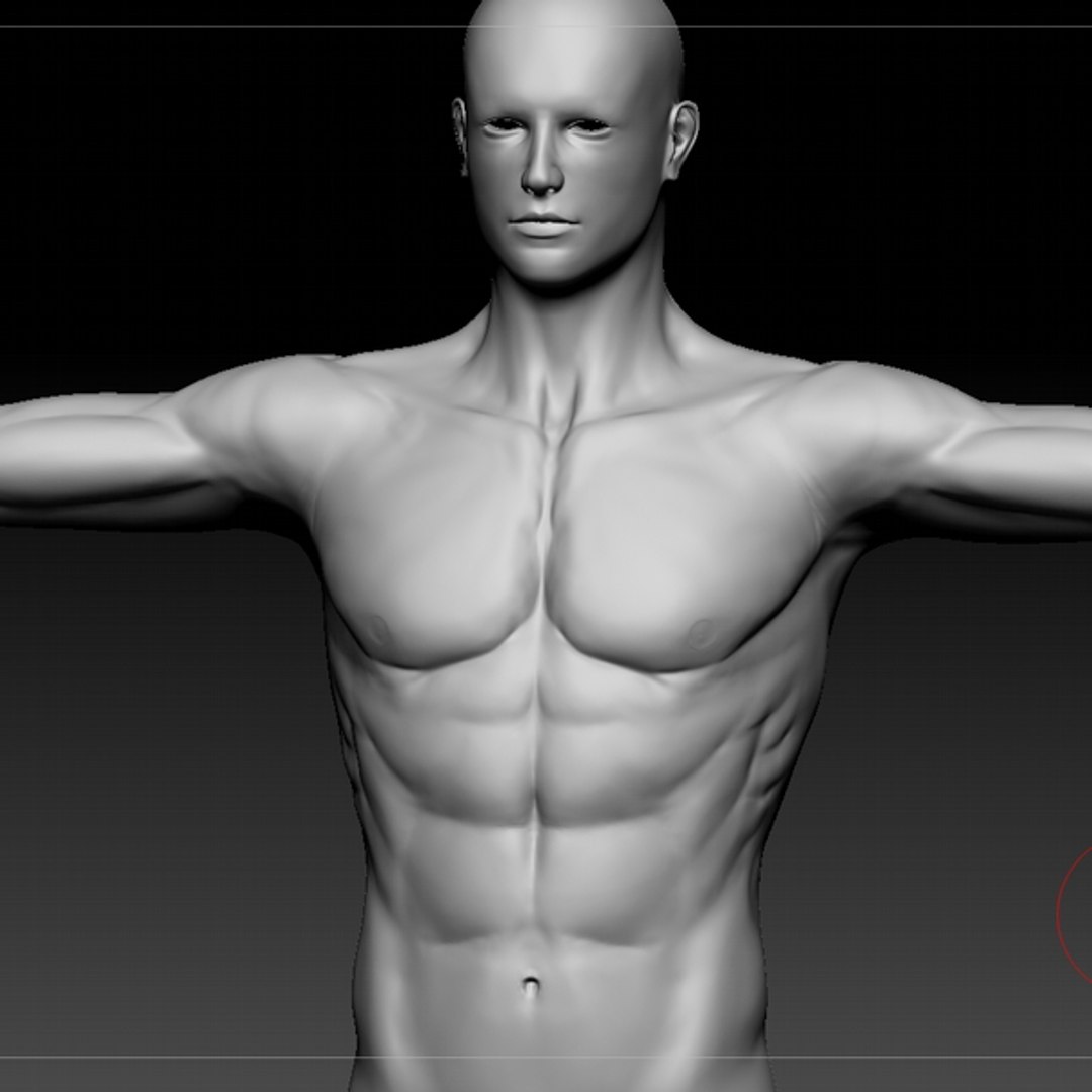 C4d Male Body