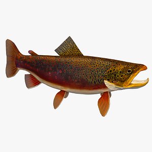 trout brown max