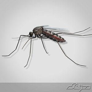 3ds max mosquito