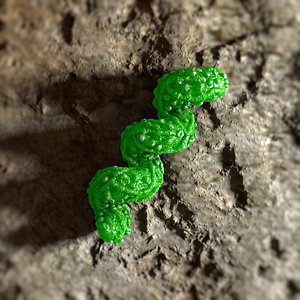 c4d bacteria microscope