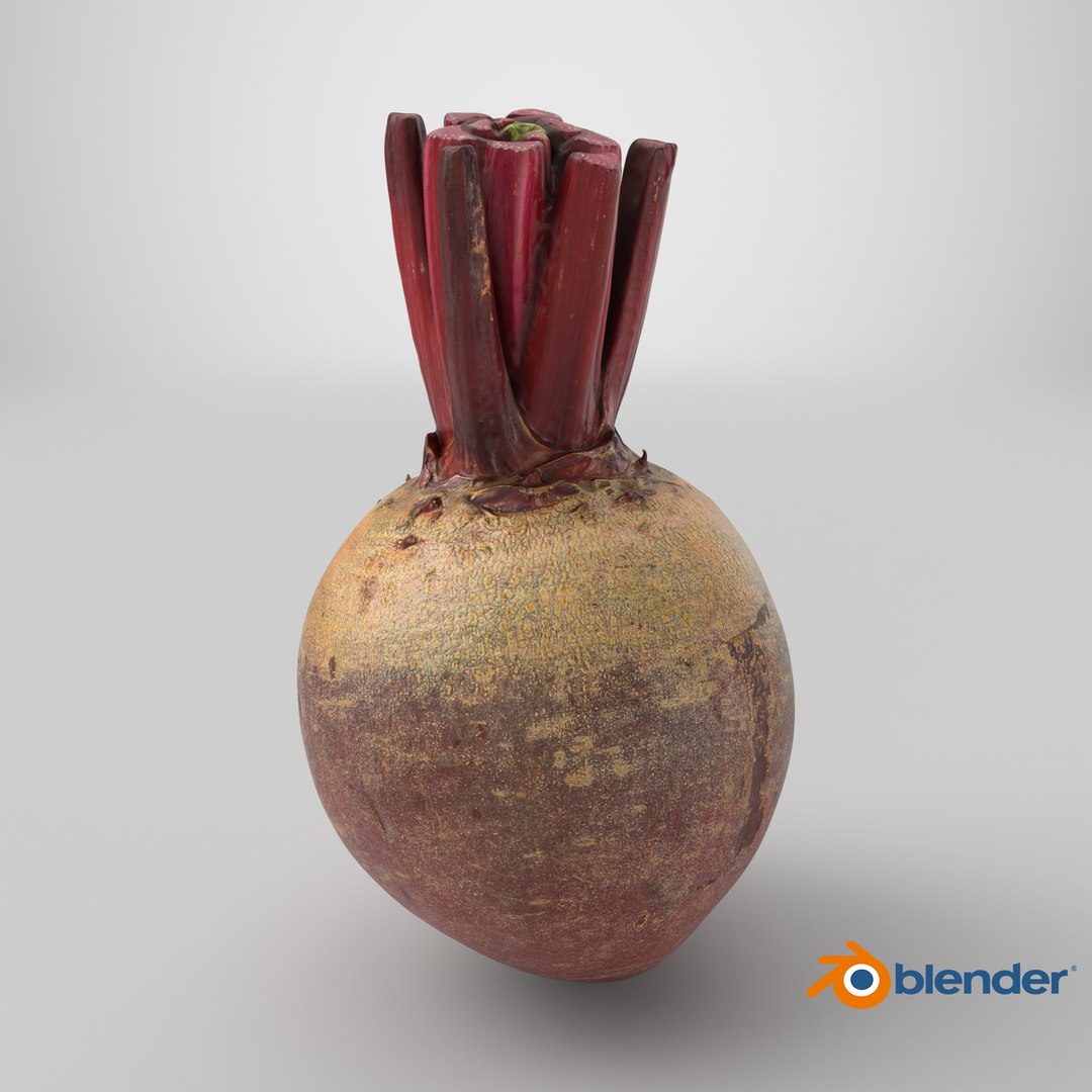 3D Whole Beetroot https://p.turbosquid.com/ts-thumb/kx/nrcXAP/B9/stemcell_blender_cycles_render/png/1765818197/1920x1080/fit_q87/7d81978ca5a215d0c0965fd63fe89cba0e1bc735/stemcell_blender_cycles_render.jpg