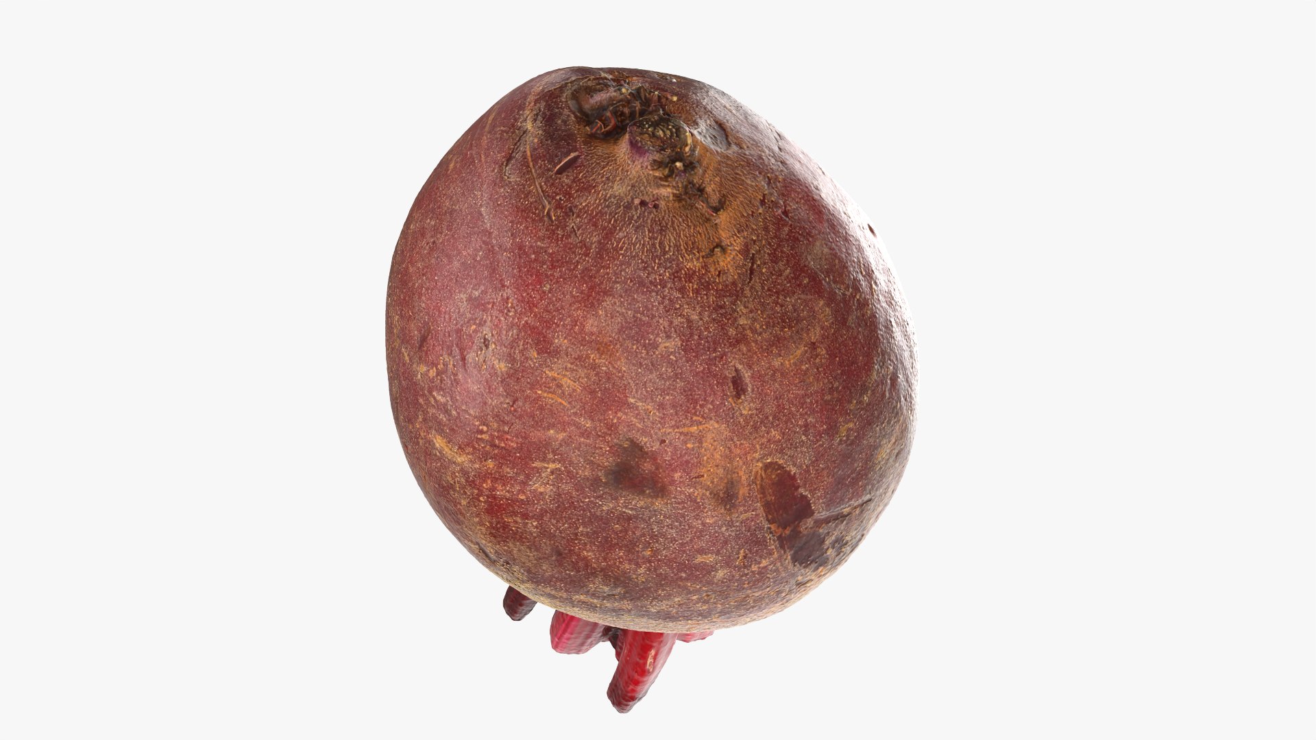 3D Whole Beetroot https://p.turbosquid.com/ts-thumb/kx/nrcXAP/Hm/beetroot_0008/png/1764131419/1920x1080/fit_q87/d8bb20847708a65d9475544e44f14a9a4905192f/beetroot_0008.jpg